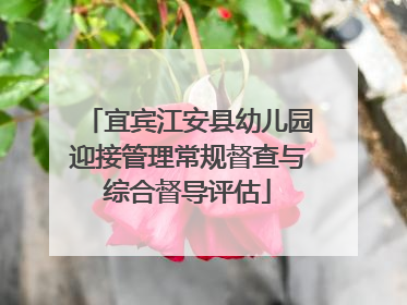 宜宾江安县幼儿园迎接管理常规督查与综合督导评估