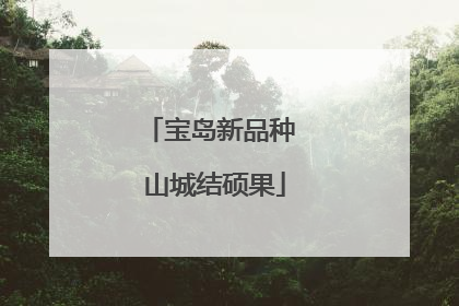 宝岛新品种 山城结硕果