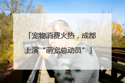 宠物消费火热，成都上演“萌宠总动员”