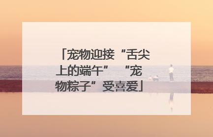 宠物迎接“舌尖上的端午” “宠物粽子”受喜爱