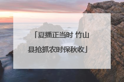 夏播正当时 竹山县抢抓农时保秋收