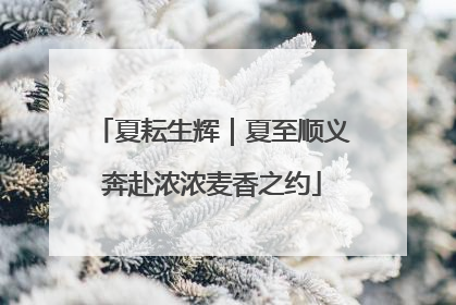 夏耘生辉｜夏至顺义奔赴浓浓麦香之约