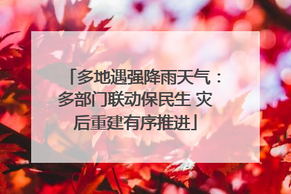 多地遇强降雨天气：多部门联动保民生 灾后重建有序推进