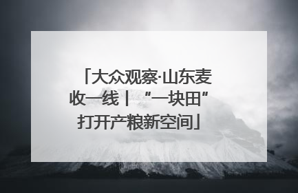 大众观察·山东麦收一线丨“一块田”打开产粮新空间