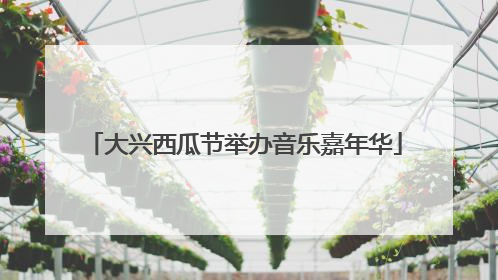 大兴西瓜节举办音乐嘉年华