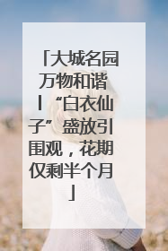 大城名园 万物和谐│“白衣仙子”盛放引围观，花期仅剩半个月