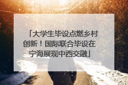 大学生毕设点燃乡村创新！国际联合毕设在宁海展现中西交融