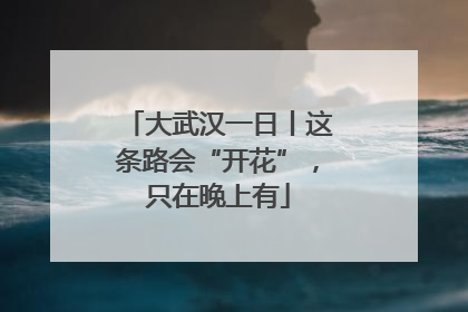 大武汉一日丨这条路会“开花”，只在晚上有