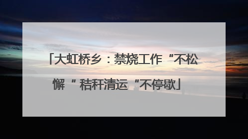 大虹桥乡：禁烧工作“不松懈“ 秸秆清运“不停歇