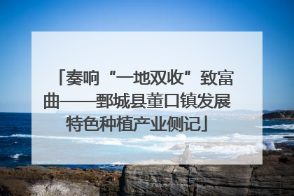 奏响“一地双收”致富曲——鄄城县董口镇发展特色种植产业侧记