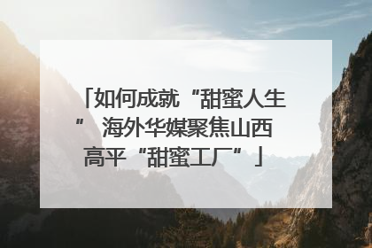 如何成就“甜蜜人生” 海外华媒聚焦山西高平“甜蜜工厂”
