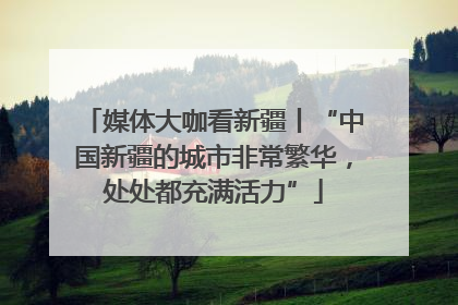 媒体大咖看新疆丨“中国新疆的城市非常繁华，处处都充满活力”