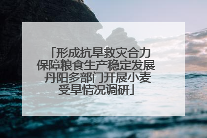 形成抗旱救灾合力 保障粮食生产稳定发展 丹阳多部门开展小麦受旱情况调研