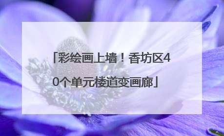 彩绘画上墙！香坊区40个单元楼道变画廊