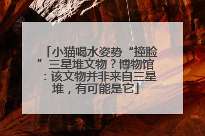 小猫喝水姿势“撞脸”三星堆文物？博物馆：该文物并非来自三星堆，有可能是它