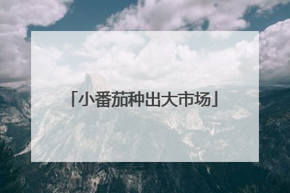 小番茄种出大市场