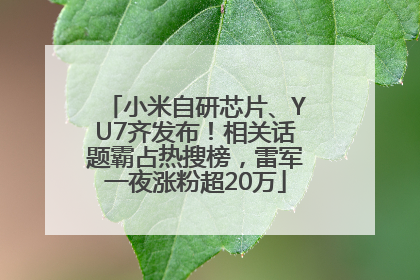 小米自研芯片、YU7齐发布！相关话题霸占热搜榜，雷军一夜涨粉超20万