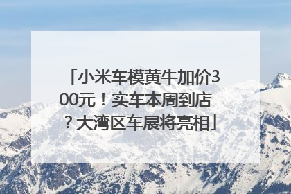 小米车模黄牛加价300元！实车本周到店？大湾区车展将亮相