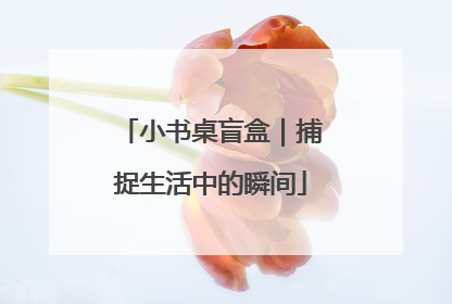 小书桌盲盒｜捕捉生活中的瞬间