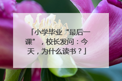 小学毕业“最后一课”，校长发问：今天，为什么读书？