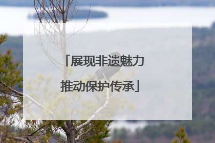 展现非遗魅力 推动保护传承