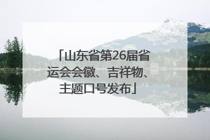 山东省第26届省运会会徽、吉祥物、主题口号发布