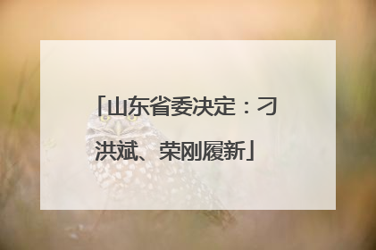 山东省委决定：刁洪斌、荣刚履新
