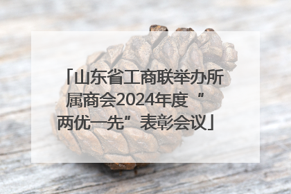 山东省工商联举办所属商会2024年度“两优一先”表彰会议