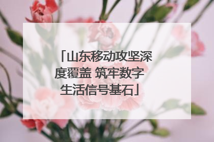 山东移动攻坚深度覆盖 筑牢数字生活信号基石