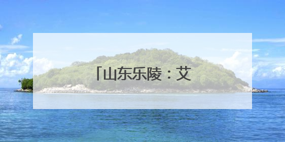 山东乐陵：艾草飘香销售忙