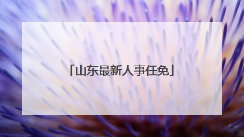 山东最新人事任免