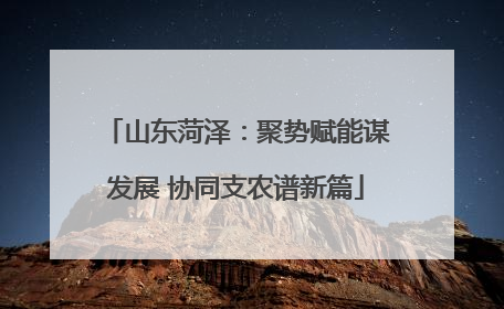 山东菏泽：聚势赋能谋发展 协同支农谱新篇