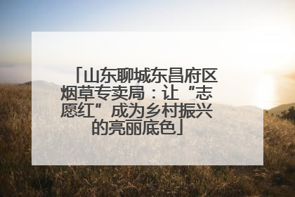 山东聊城东昌府区烟草专卖局：让“志愿红”成为乡村振兴的亮丽底色