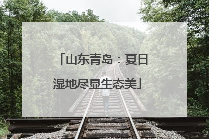 山东青岛：夏日湿地尽显生态美