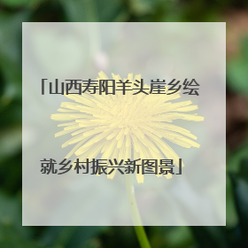 山西寿阳羊头崖乡绘就乡村振兴新图景