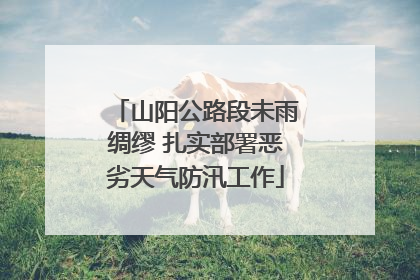 山阳公路段未雨绸缪 扎实部署恶劣天气防汛工作