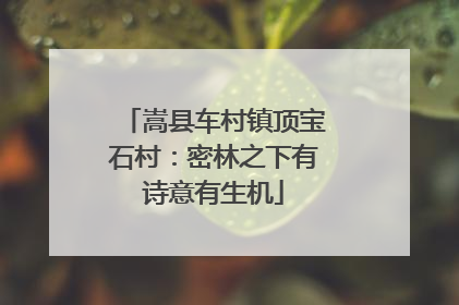 嵩县车村镇顶宝石村：密林之下有诗意有生机