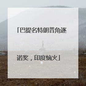 巴提名特朗普角逐诺奖，印度恼火