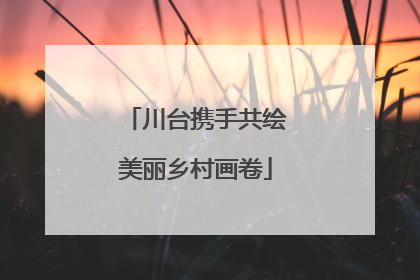 川台携手共绘美丽乡村画卷