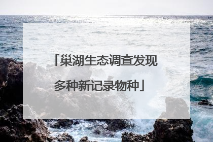 巢湖生态调查发现多种新记录物种