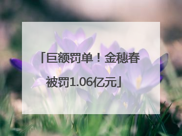 巨额罚单！金穗春被罚1.06亿元