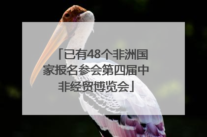 已有48个非洲国家报名参会第四届中非经贸博览会