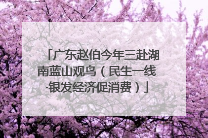 广东赵伯今年三赴湖南蓝山观鸟（民生一线·银发经济促消费）