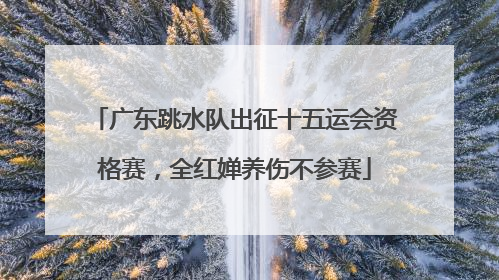 广东跳水队出征十五运会资格赛，全红婵养伤不参赛
