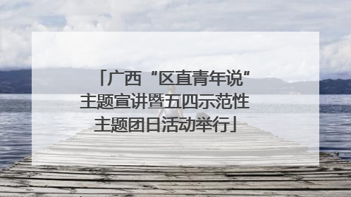 广西“区直青年说”主题宣讲暨五四示范性主题团日活动举行