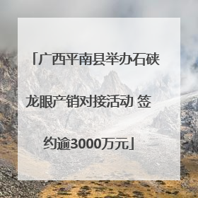 广西平南县举办石硖龙眼产销对接活动 签约逾3000万元