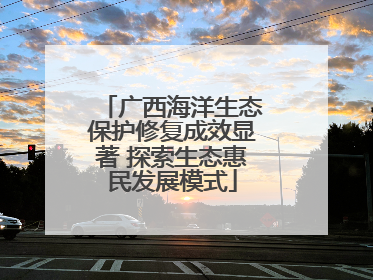 广西海洋生态保护修复成效显著 探索生态惠民发展模式