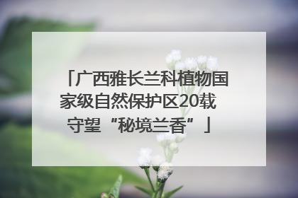 广西雅长兰科植物国家级自然保护区20载守望“秘境兰香”