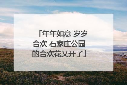年年如意 岁岁合欢 石家庄公园的合欢花又开了