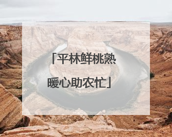 平林鲜桃熟 暖心助农忙
